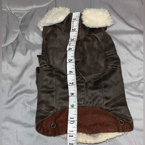 Leather dog outfit - Picture 5 of 5